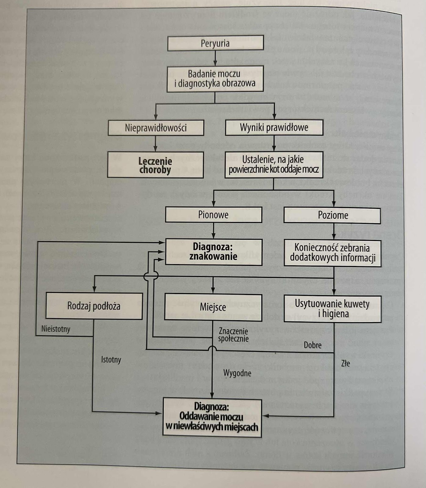 Medycyna behawioralna psów i kotów, wykres z książki autorstwa Debra F. Horwitz, Daniel S. Mills.