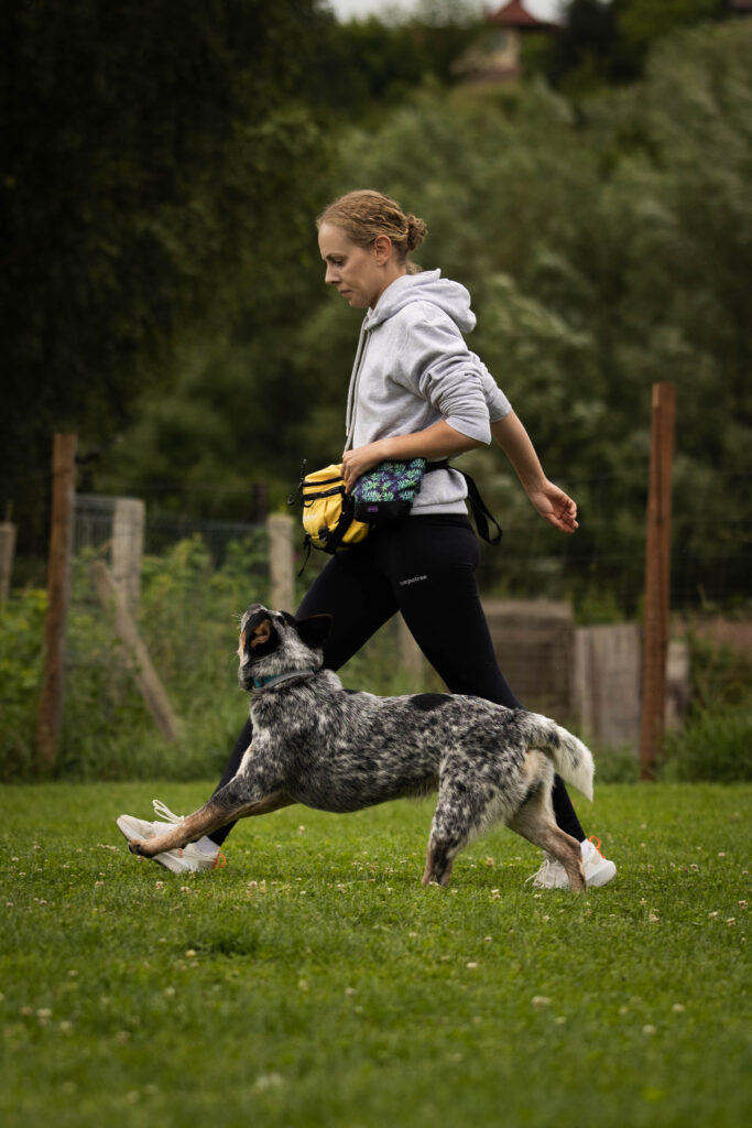 O nas 2 kobieta z psem australian cattle dog
